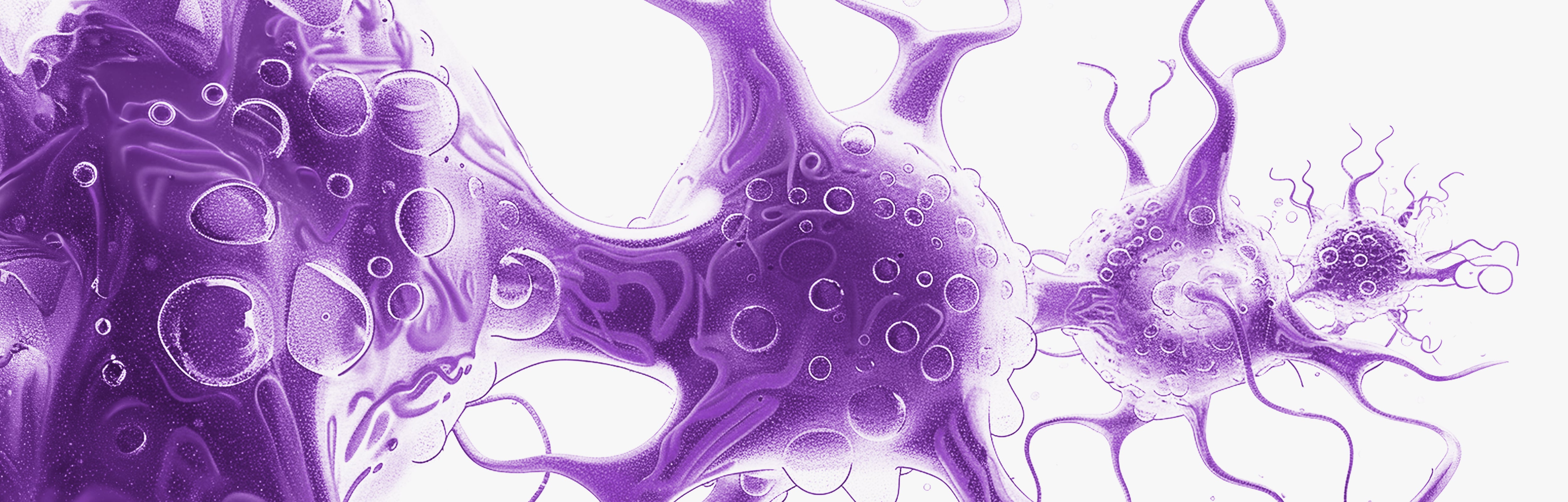 The brain: the 3 best neuroprotective supplements
