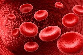 Nattokinase: A Promising Enzyme for Cardiovascular Health
