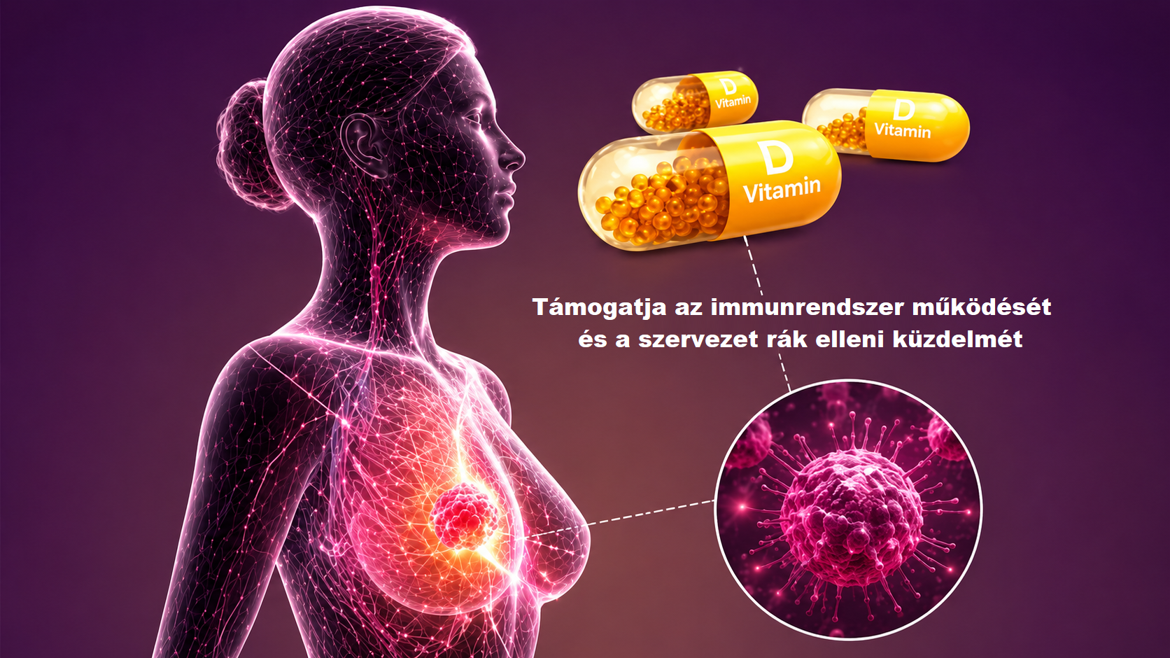 A rák és a D-vitamin