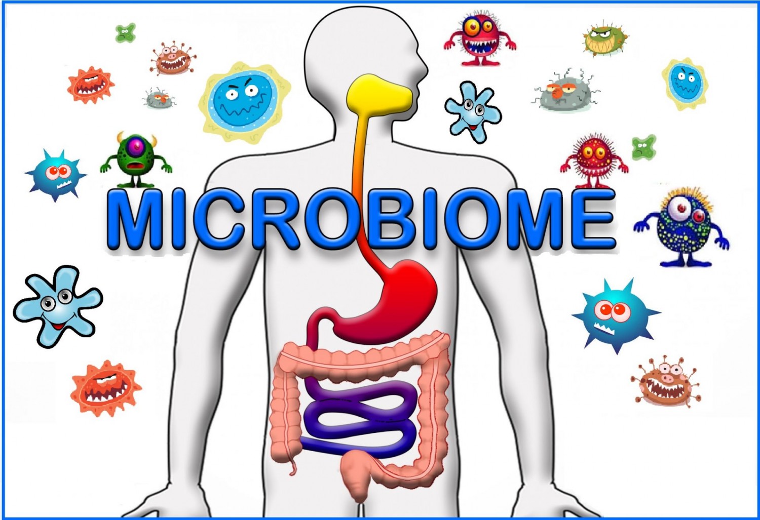 Létfontosságú szervünk a mikrobiom