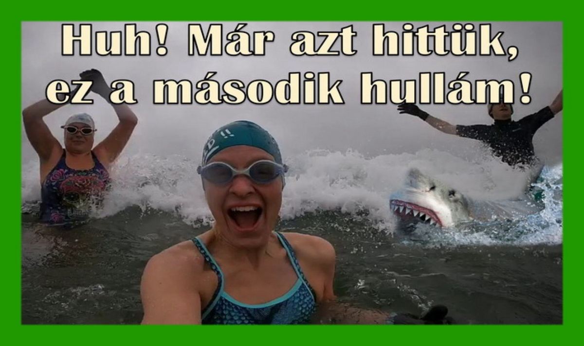 Amit a vírusokról tudni érdemes, avagy ne kapj frászt a második hullámtól!