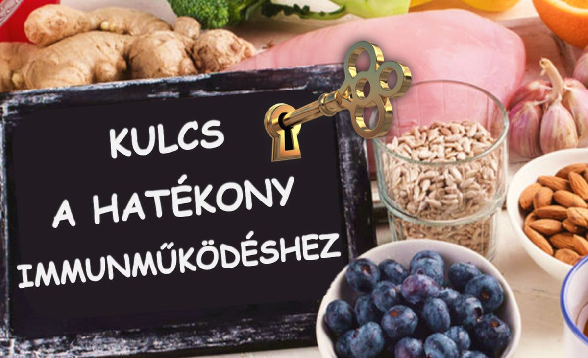Kulcs a hatékony immunrendszerhez - 1. rész