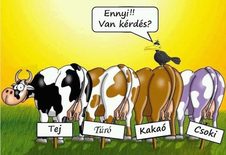 Miért különleges a túró?